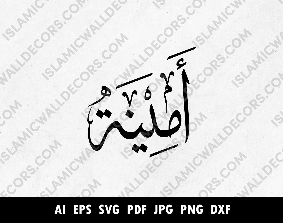 Custom Arabic Names, Aminah Arabic Name in 2nd style, Arabic vector Calligraphy